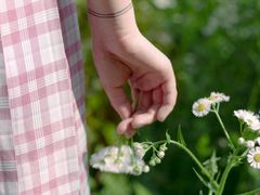 -昆山城市生态森林公园