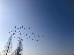 -良渚古城遗址公园