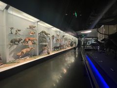 -国家自然博物馆