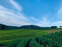 -帐篷客·溪龙茶谷度假酒店