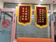 -全心全意连锁动物医院·微创中心·内科急重症·心脏专科(丰管路店)