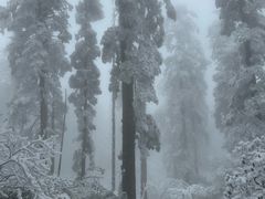 -瓦屋山景区