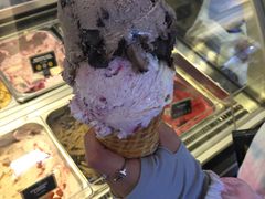 -Patagonia Chocolates(皇后镇店)