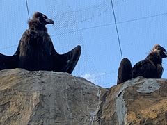 -石家庄市动物园