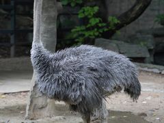 -广州动物园