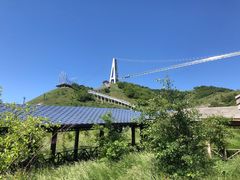 -中华福寿山