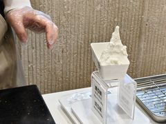 -野人先生现做冰淇淋(西安赛格店)
