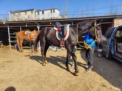 -丹世红酒庄·烧烤·团建·婚礼·水上运动