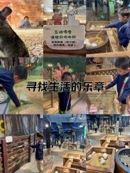 -酷嗒动物文化乐园(cutezoo西溪乐天城店)