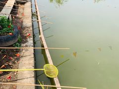 -同銮特种养殖场·龙虾垂钓