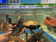 -大锅强·蒸海鲜青岛菜(金沙滩店)
