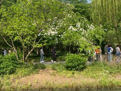 -扬州瘦西湖船宴