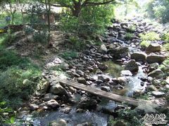 -广州市石门国家森林公园