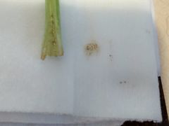 -梁记粥铺(开元地中海店)