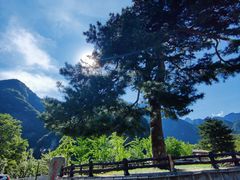 -秦岭终南山世界地质公园翠华山景区