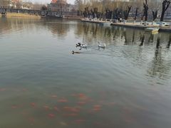 -中国农业博物馆
