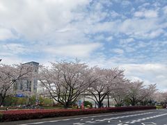 -外婆家(西溪印象城店)