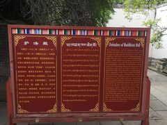 -塔尔寺菩提树