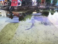 -鸿通城购物中心