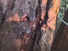 -钟山体育运动公园