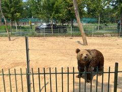 -秦皇岛野生动物园