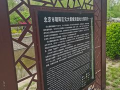 -元大都城垣遗址公园