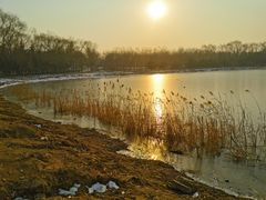 -大兴滨河森林公园