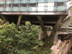 -香港大学