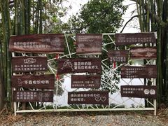 -老木棉·匠园
