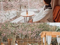 -天适樱花悠乐园
