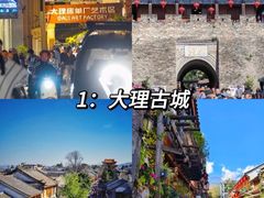 -大理.老字号渝记酸萝卜乌鱼(古城总店)