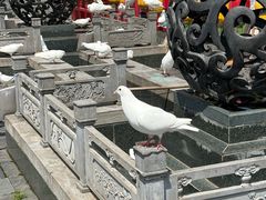 -大小河街