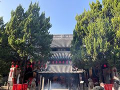 -秋霞圃