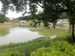 -王借岗森林公园