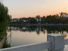 -顺德职业技术大学