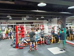 -TFC 纯泰拳馆MuayThai