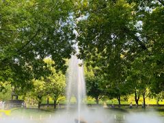 -朝阳公园