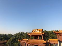 -深圳仙湖植物园