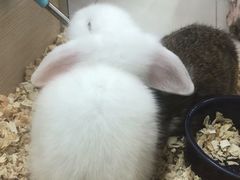 -三旗百汇商品城