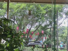 -金河半岛园林酒家(金融城店)