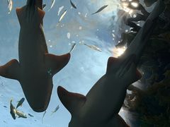 -瑞普利水族馆