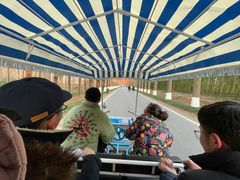 -黄海国家森林公园