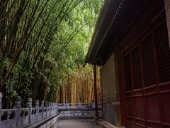 -潭柘寺景区