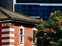 -大馆(前中区警署建築群)