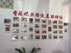 -香薇妮丝·定制减肥·身材管理