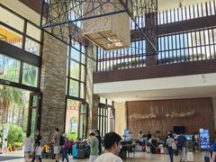 -三亚海棠湾喜来登度假酒店