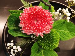 -茶人村·前滩江景雅宴(上海首店)