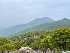 -梧桐山风景名胜区