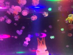 -邯郸海洋世界