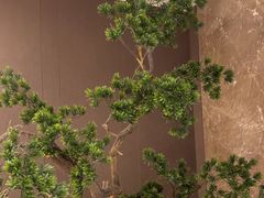 -香港狮子山下·明星粤菜餐厅(北苑店)